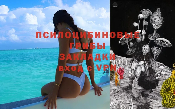 ешки Алексеевка