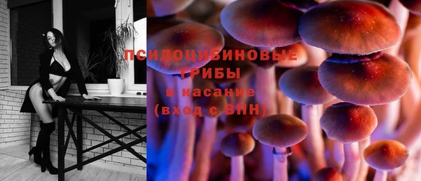 mdpv Алзамай