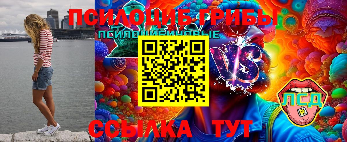 Галлюциногенные грибы мухоморы Кропоткин